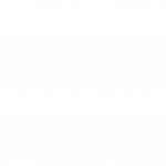 VoiceFlow